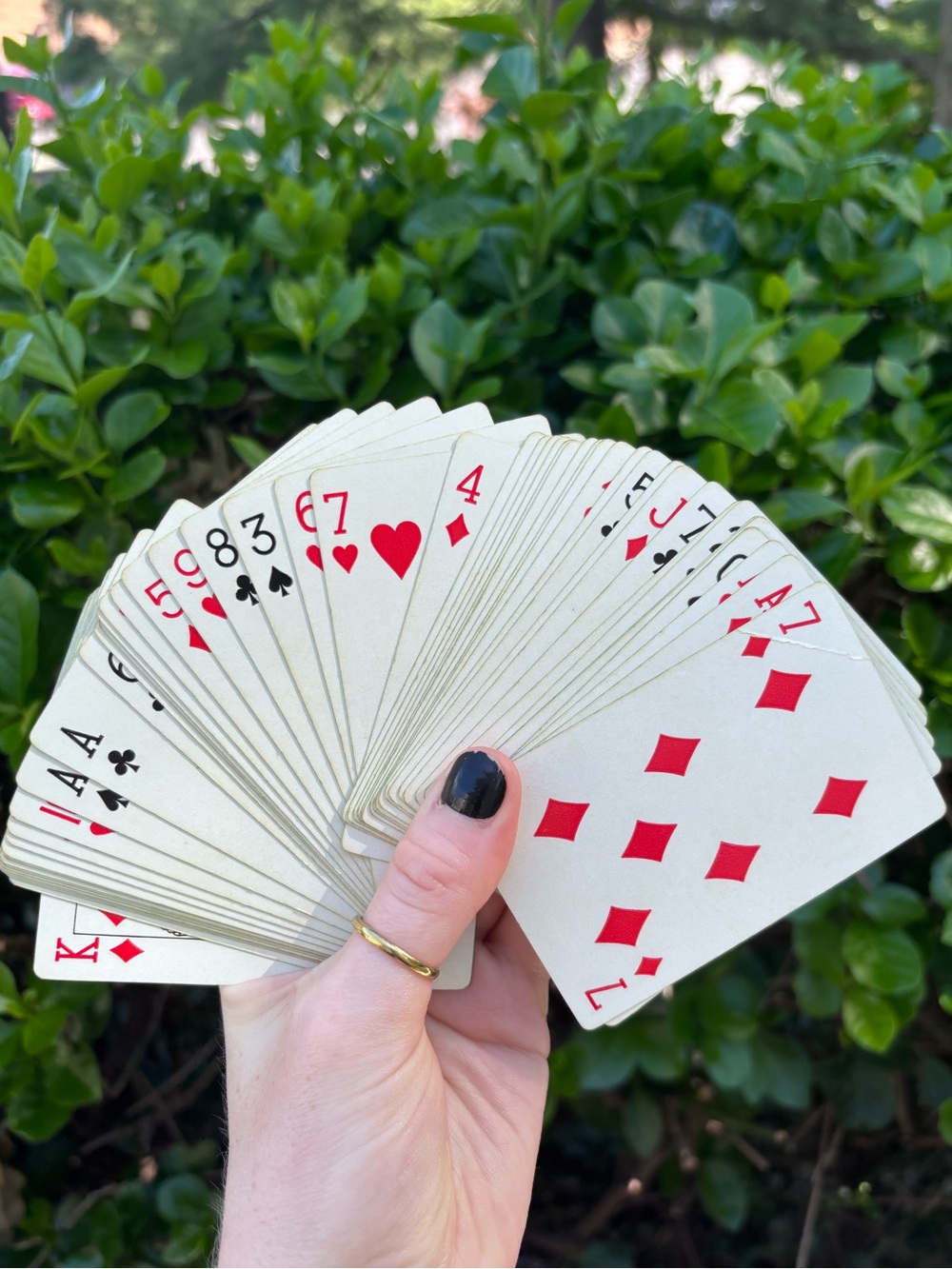 Playing Cards - Picture 4 of 4